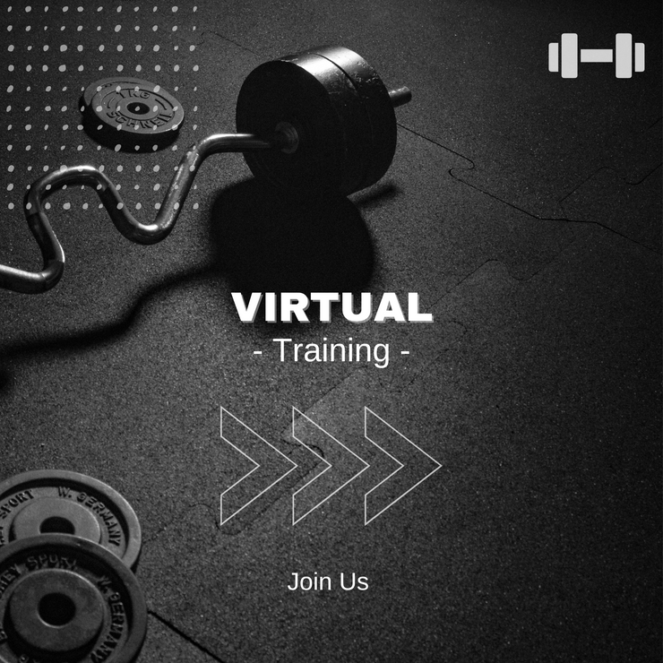Virtual Training